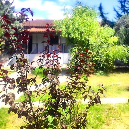 Vergia Studios Σωζόπολη Εξωτερικό φωτογραφία