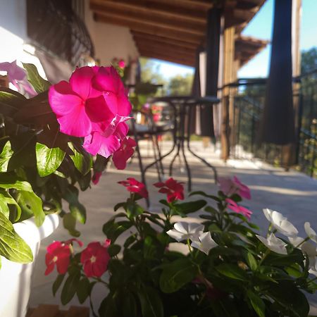 Vergia Studios Σωζόπολη Εξωτερικό φωτογραφία