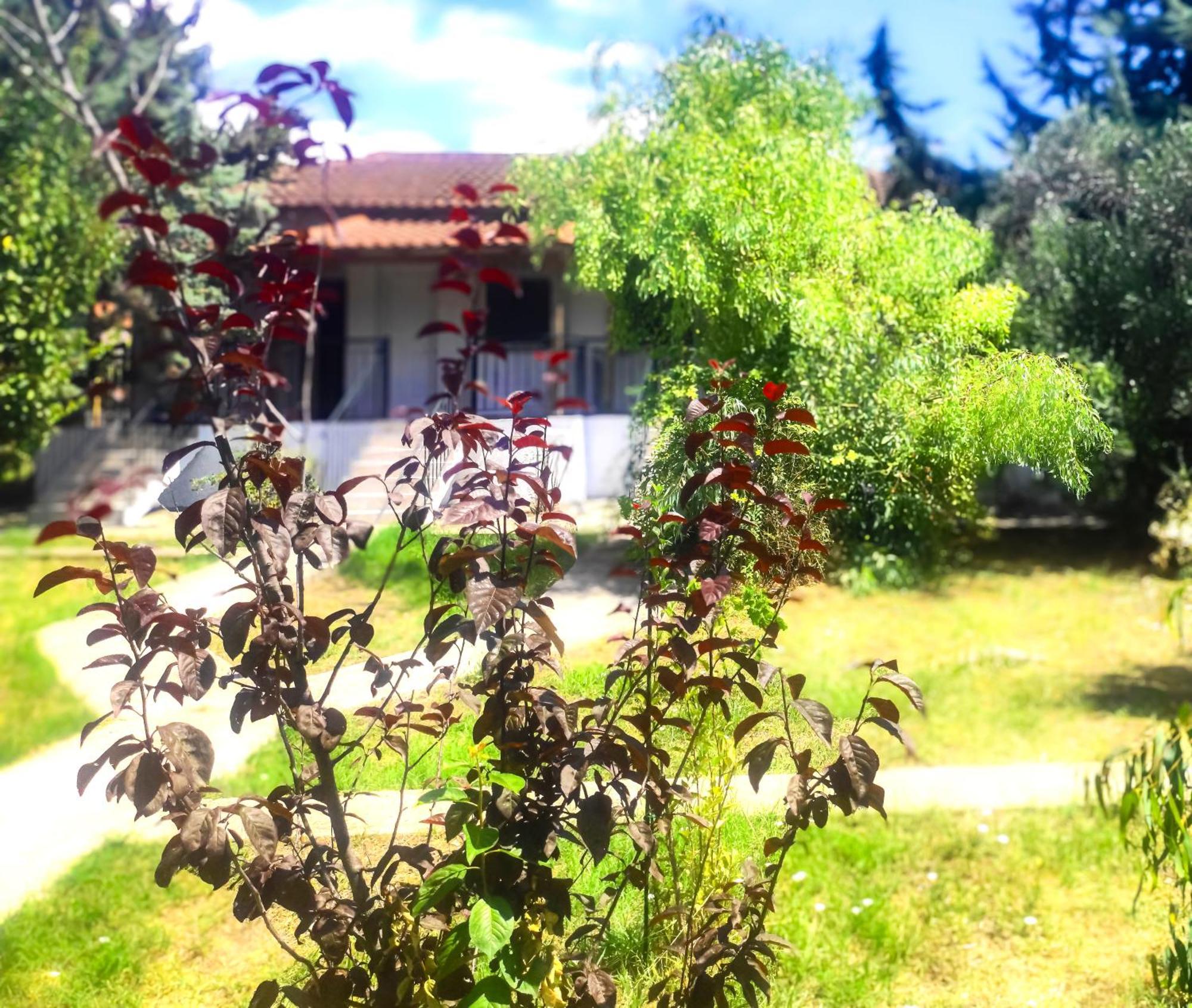 Vergia Studios Σωζόπολη Εξωτερικό φωτογραφία